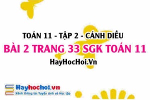 Bài 2 trang 33 Toán 11 tập 2 Cánh Diều